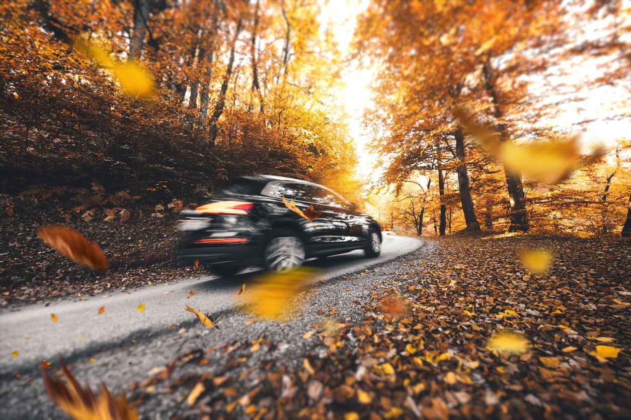 Driving on wet leaves is just as dangerous as driving on ice